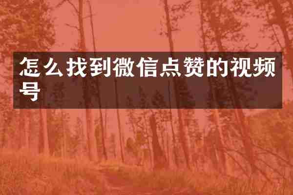 怎么找到微信点赞的视频号