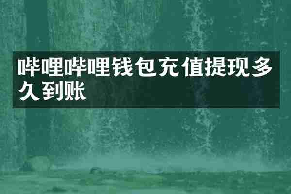哔哩哔哩钱包充值提现多久到账