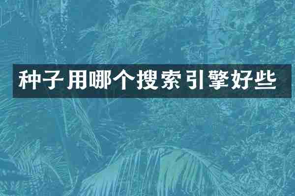 种子用哪个搜索引擎好些