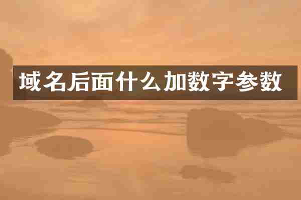 域名后面什么加数字参数