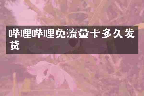 哔哩哔哩免流量卡多久发货