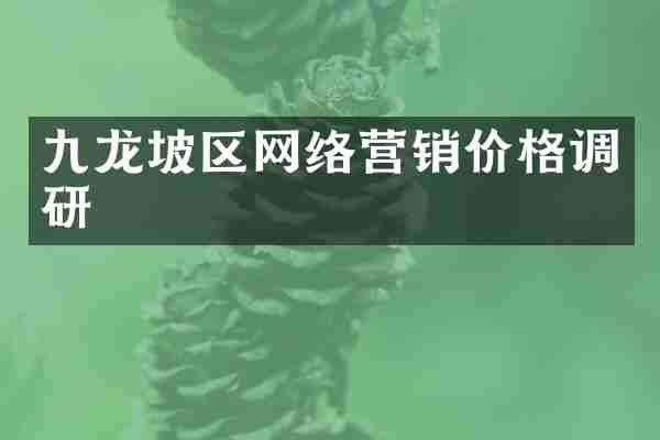 九龙坡区网络营销价格调研