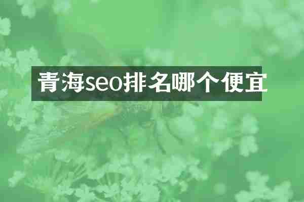 青海seo排名哪个便宜