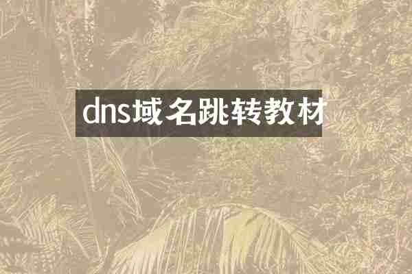 dns域名跳转教材