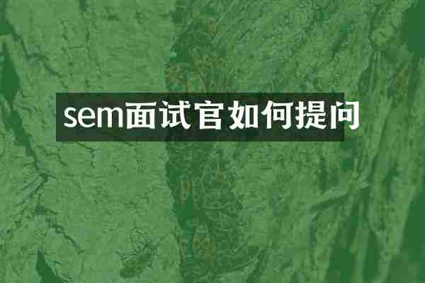 sem面试官如何提问