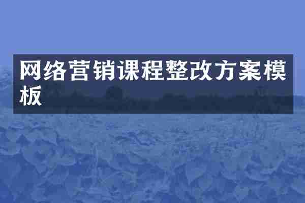网络营销课程整改方案模板