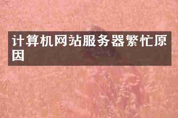 计算机网站服务器繁忙原因