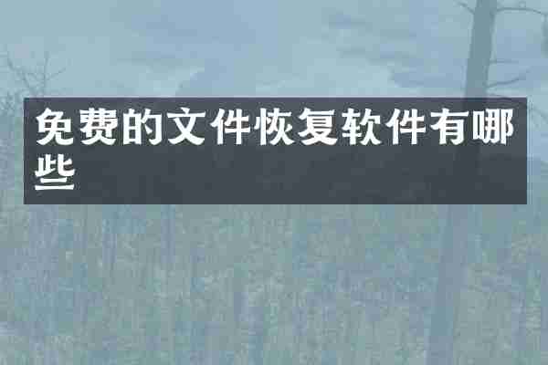 免费的文件恢复软件有哪些