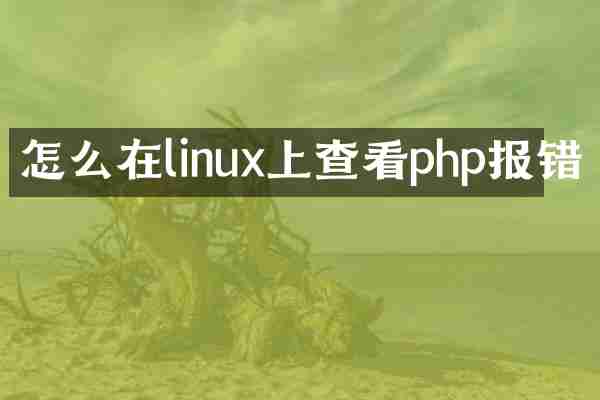 怎么在linux上查看php报错