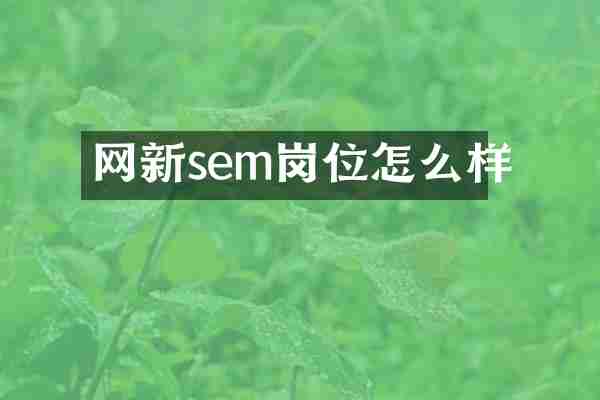 网新sem岗位怎么样