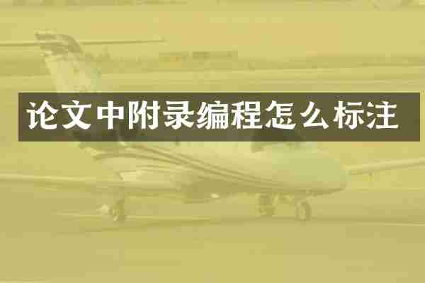 论文中附录编程怎么标注