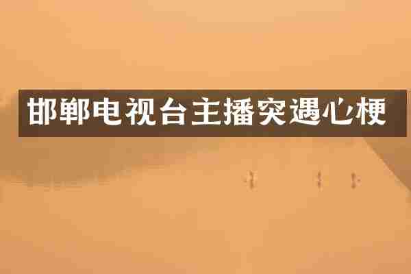 邯郸电视台主播突遇心梗