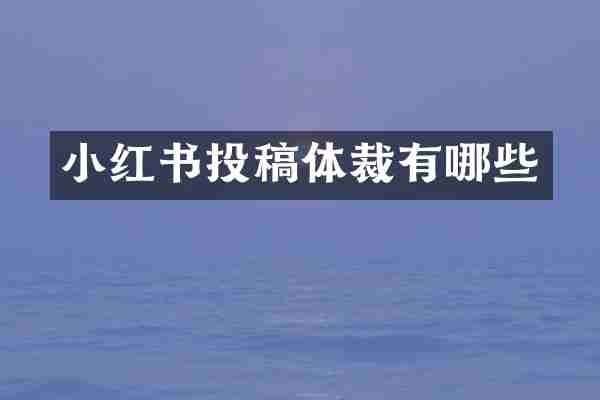 小红书投稿体裁有哪些