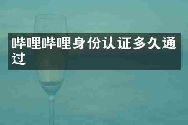 哔哩哔哩身份认证多久通过