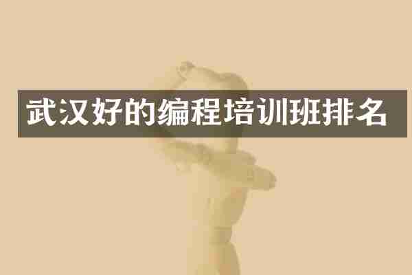 武汉好的编程培训班排名