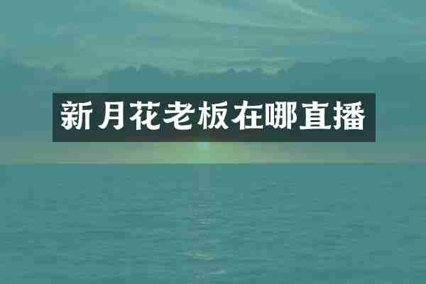 新月花老板在哪直播