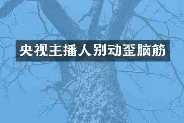 央视主播人别动歪脑筋
