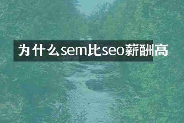 为什么sem比seo薪酬高