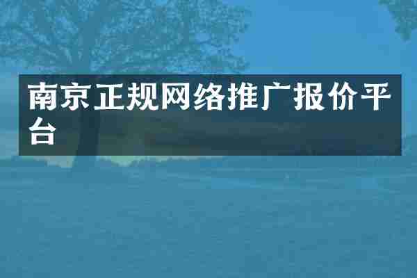 南京正规网络推广报价平台