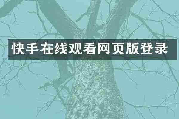 快手在线观看网页版登录