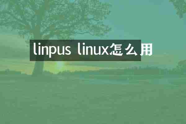 linpus linux怎么用