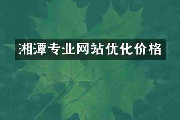 湘潭专业网站优化价格