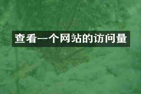 查看一个网站的访问量
