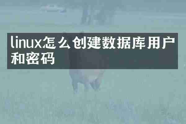 linux怎么创建数据库用户名和密码