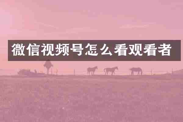 微信视频号怎么看观看者
