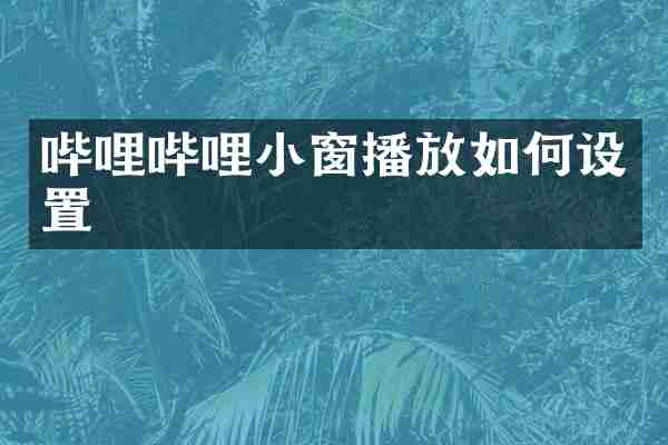 哔哩哔哩小窗播放如何设置
