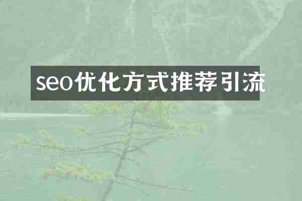 seo优化方式推荐引流