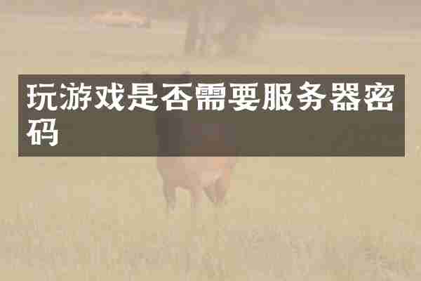 玩游戏是否需要服务器密码