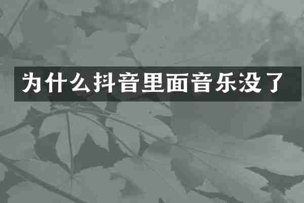 为什么抖音里面音乐没了