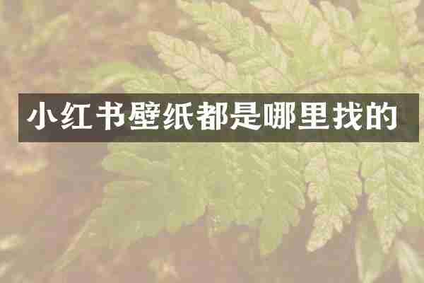 小红书壁纸都是哪里找的