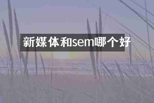 新媒体和sem哪个好