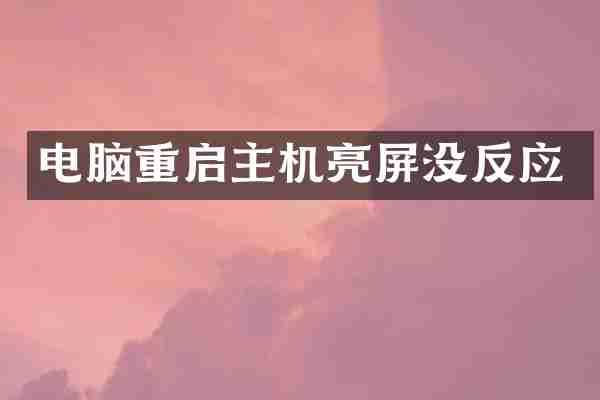 电脑重启主机亮屏没反应