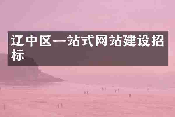 辽中区一站式网站建设招标
