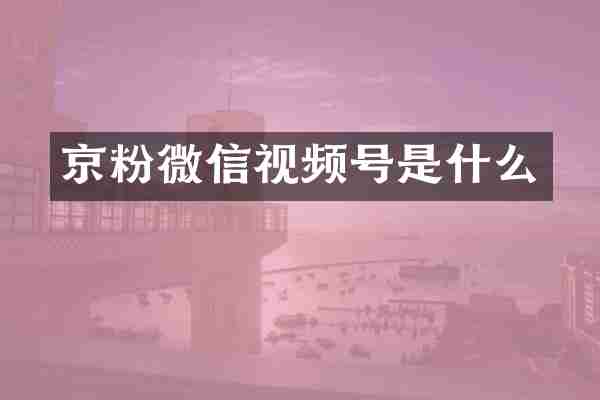 京粉微信视频号是什么