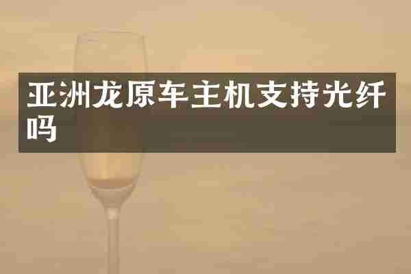 亚洲龙原车主机支持光纤吗