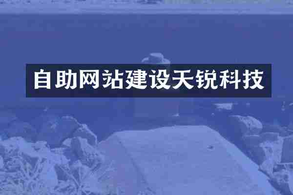 自助网站建设天锐科技