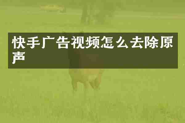 快手广告视频怎么去除原声
