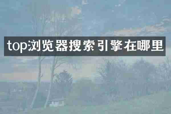 top浏览器搜索引擎在哪里