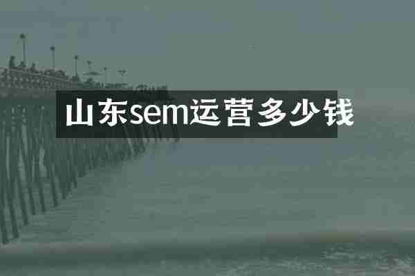 山东sem运营多少钱
