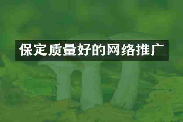 保定质量好的网络推广