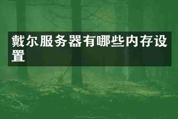 戴尔服务器有哪些内存设置