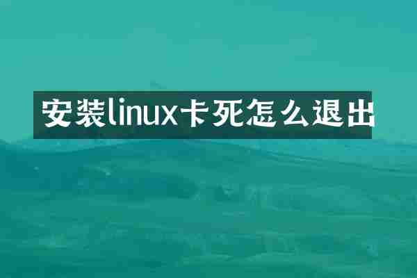 安装linux卡死怎么退出