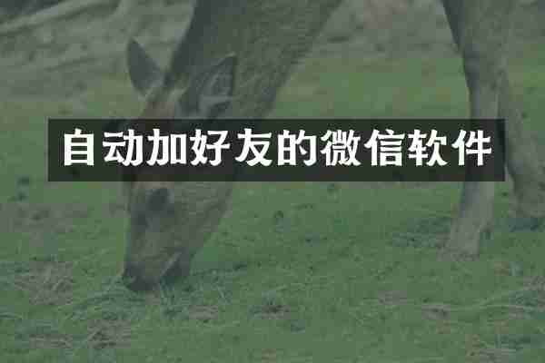 自动加好友的微信软件