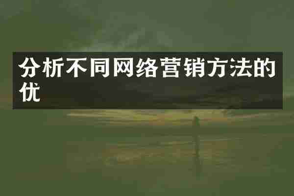 分析不同网络营销方法的优