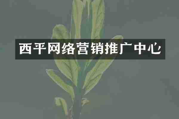 西平网络营销推广中心