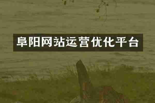 阜阳网站运营优化平台